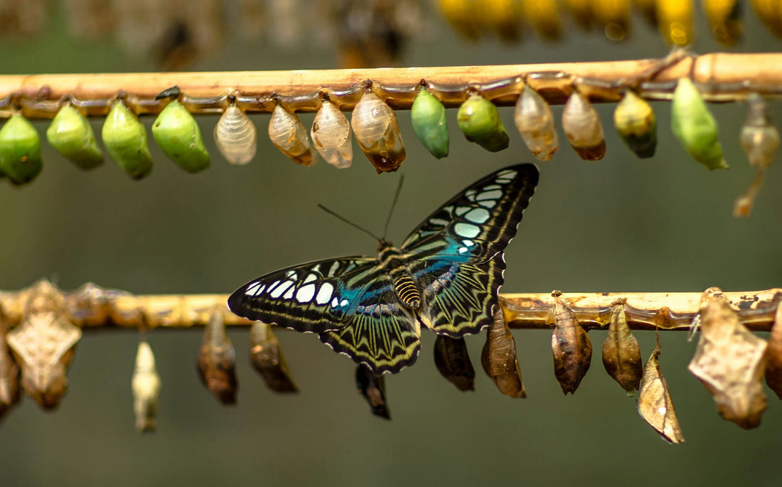 Why Purpose Often Feels Unclear in Transition Seasons